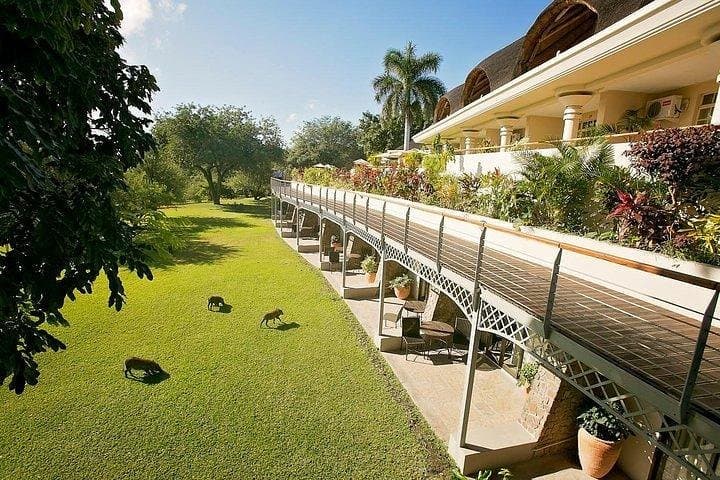 Ilala Lodge 5-Day Victoria Falls Safari & Zambezi Cruise Package photo 3