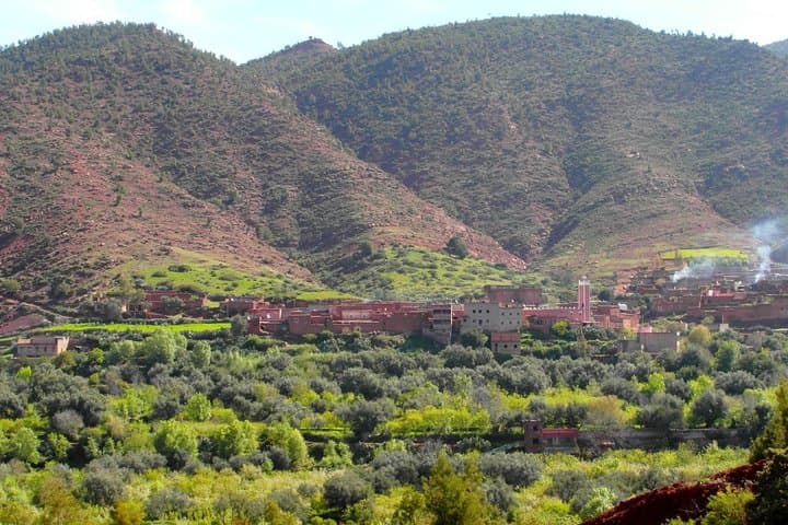 High Atlas and Berber Villages: Day Tour from Marrakech photo 5
