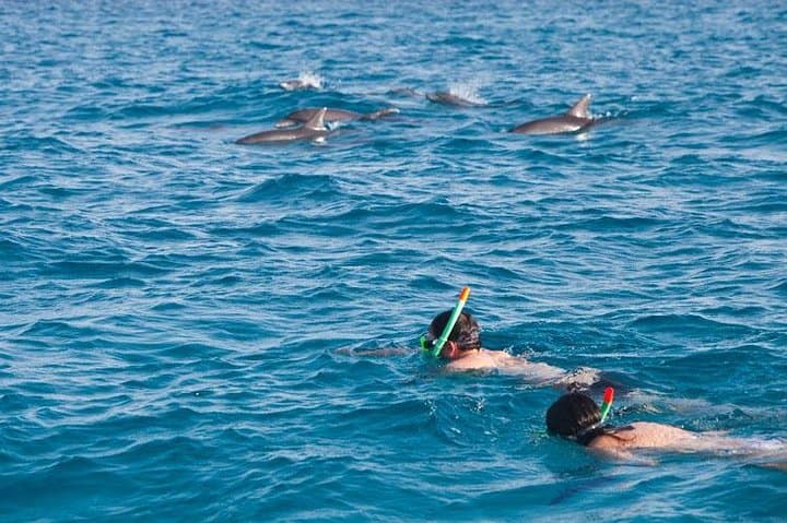 Hurghada Dolphin House: Half-Day Boat & Snorkel Adventure in the Red Sea photo 2