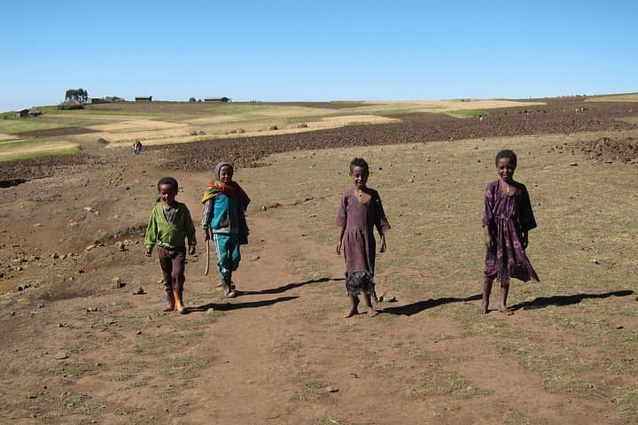 Day Hike Around Lalibela: Gelada Baboons, Hudade Lodge & Asheton Maryam photo 2