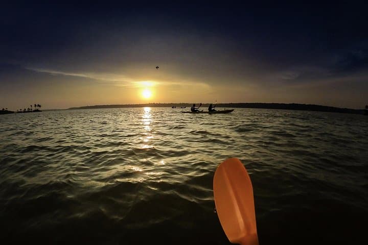 Kayak to Black Devil Snail Sandbar — Paravur Lake Day Paddle Near Varkala photo 3