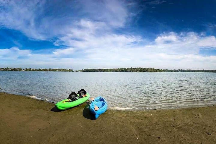 Kayak to Black Devil Snail Sandbar — Paravur Lake Day Paddle Near Varkala photo 4
