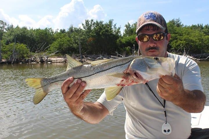 Marco Island Inshore Fishing Charters — Ten Thousand Islands Backcountry Adventure photo 3