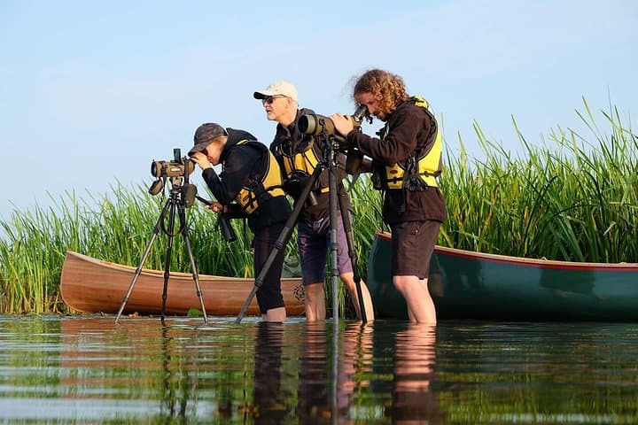 Canoe Birdwatching at Cape Vente: Paddle Into the Nemunas Delta’s Migratory Highways