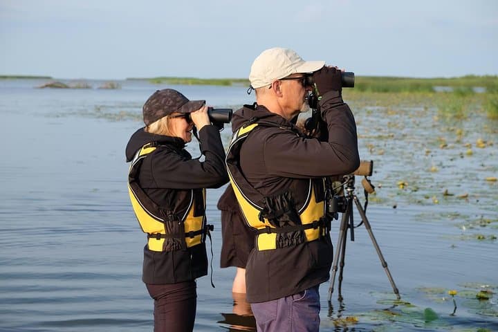 Canoe Birdwatching at Cape Vente: Paddle Into the Nemunas Delta’s Migratory Highways photo 6