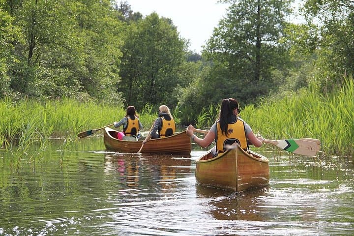 Guided Cedar Canoe Tour on Lake Plateliai — Crystal-Clear Paddling & Picnic photo 3