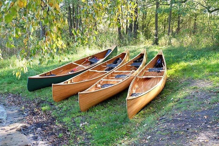 Guided Cedar Canoe Tour on Lake Plateliai — Crystal-Clear Paddling & Picnic photo 4