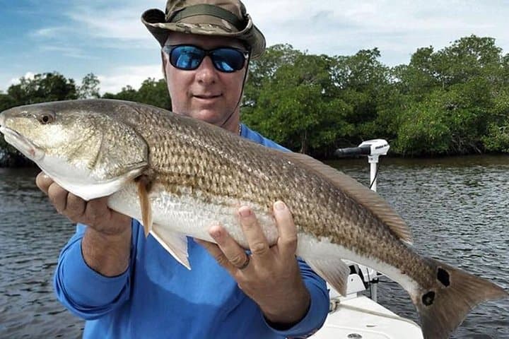 Holiday Inshore Fishing Charters — Anclote River to Anclote Key Inshore Fishing Trips photo 6