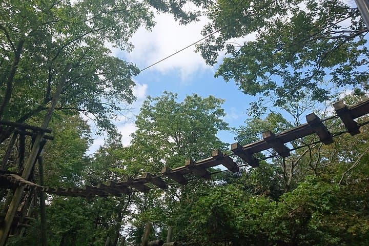 Zipline Through Tottori's Forest Adventure: 15-Station Aerial Course & 100m Glide photo 3