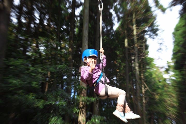 Zipline Through Tottori's Forest Adventure: 15-Station Aerial Course & 100m Glide photo 2