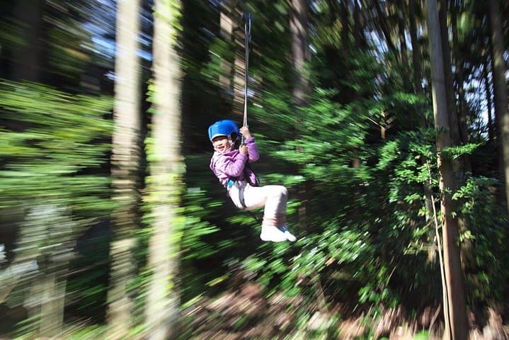 Zipline Through Tottori's Forest Adventure: 15-Station Aerial Course & 100m Glide