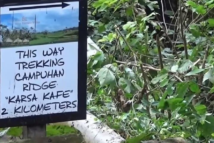 Ubud Ridge Walk and Tirta Empul Blessing: Private Guided Day Tour
