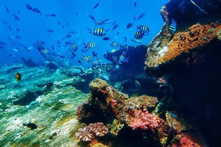 Nusa Penida Day Trip: Kelingking, Broken Beach & Crystal Bay Highlights photo 2