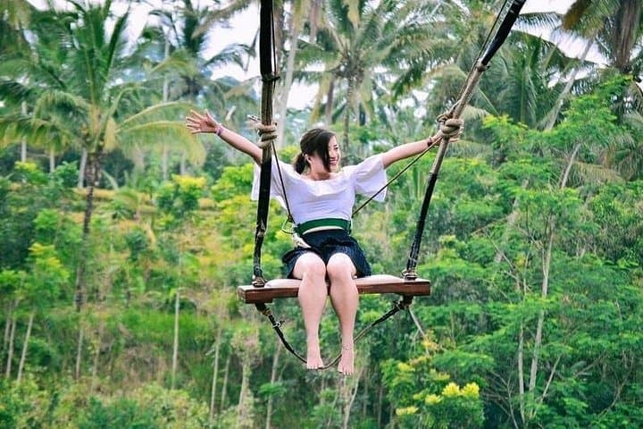 Private Ubud Day Tour: Monkey Forest, Tegalalang & Tegenungan (Free WiFi) photo 3