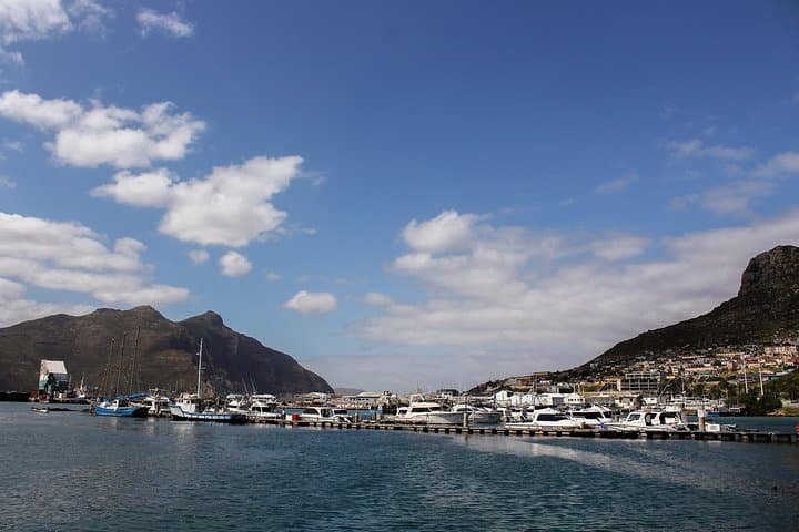 Peninsula Tour Cape Town: Cape Point, Chapman's Peak & Boulders Penguin Colony photo 4
