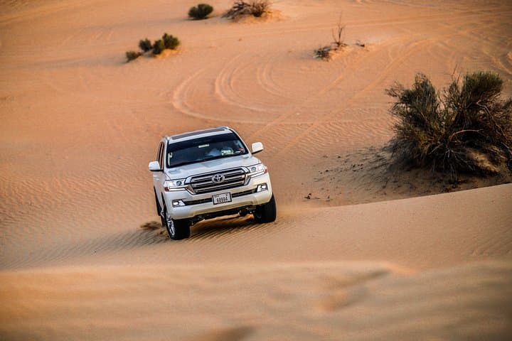 VIP Evening Desert Safari Dubai: Dune Bashing, Camel Ride & Exclusive VIP Table