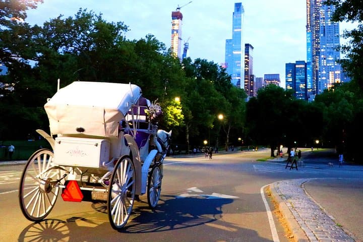 Night Carriage Ride from Central Park to Times Square: Horse-Drawn Tour of Midtown photo 4