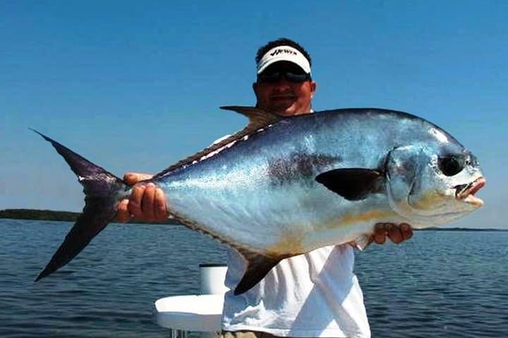 Miami Beach Inshore Fishing Charters — Key Biscayne Flats for Sea Trout, Snook & Tarpon photo 6