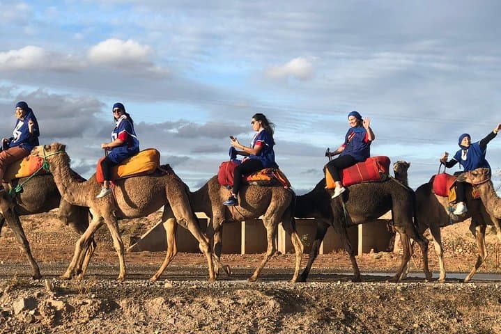 Camel Ride Through Marrakech's Palmeraie: 1-Hour Palm Grove Experience