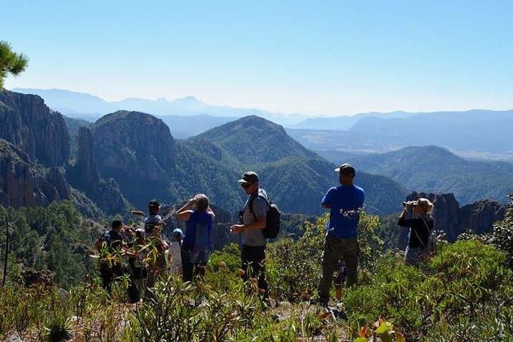 La Pirámide Park Birdwatching Walk in the Sierra Madre Occidental photo 2