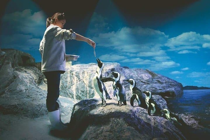 Inside SEA LIFE Bangkok Ocean World: Siam Paragon’s Giant Aquarium Guide photo 2