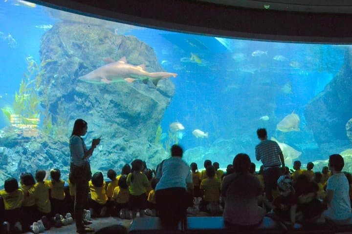 Inside SEA LIFE Bangkok Ocean World: Siam Paragon’s Giant Aquarium Guide photo 4