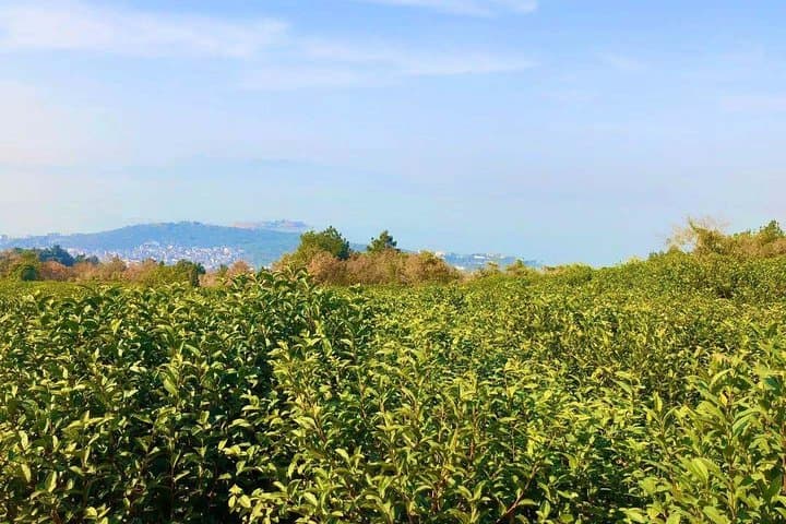 Hike Twenty-Four Bend & Luxiang Ancient Village: Taihu Lake Day Trek from Suzhou photo 2