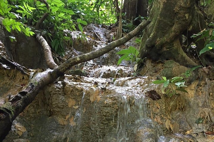 Cuc Phuong & Trang An: 2-Day Jungle Trek to Mua Cave and Primate Rescue photo 3