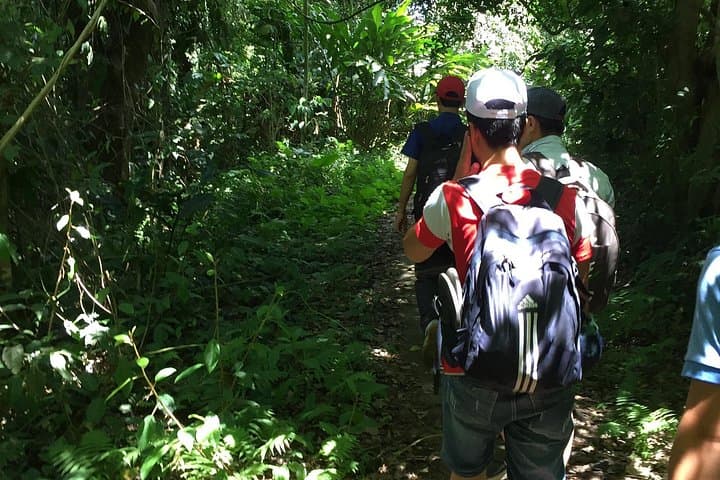 Cuc Phuong & Trang An: 2-Day Jungle Trek to Mua Cave and Primate Rescue photo 2