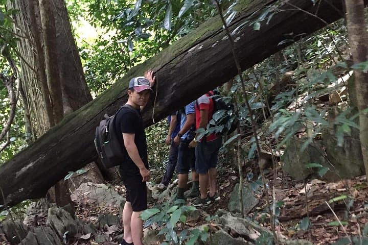 Cuc Phuong & Trang An: 2-Day Jungle Trek to Mua Cave and Primate Rescue photo 5