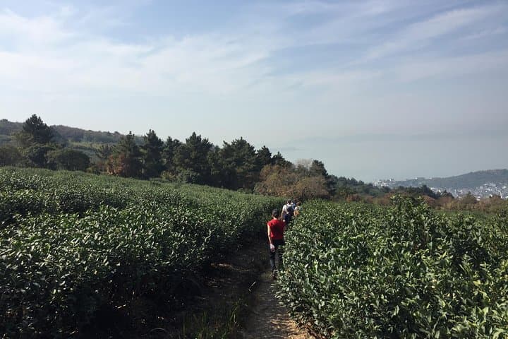 Hike Twenty-Four Bend & Luxiang Ancient Village: Taihu Lake Day Trek from Suzhou photo 6