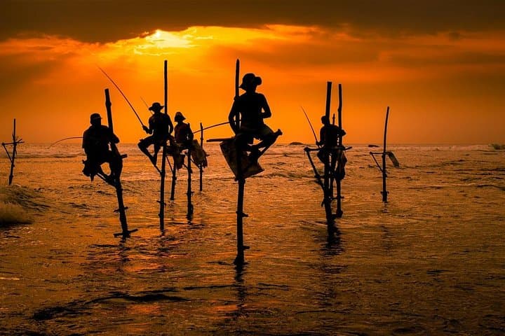 7-Day Sri Lanka Round Tour with Private Driver — Sigiriya to Galle photo 2