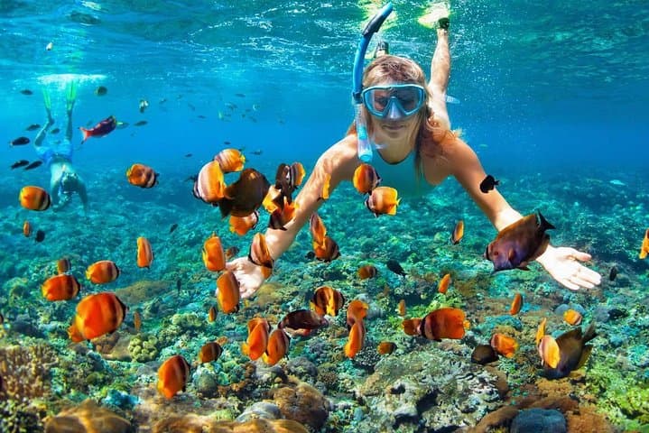 Private Phi Phi Islands Speedboat Tour from Phuket — Snorkel Maya Bay & Monkey Beach photo 6