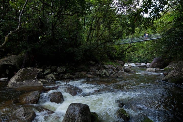 Daintree Rainforest Day Tour: Mossman Gorge, Daintree River Cruise & Cape Tribulation photo 4