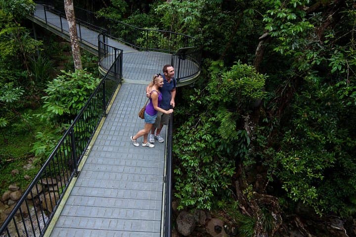 Daintree Rainforest Day Tour: Mossman Gorge, Daintree River Cruise & Cape Tribulation