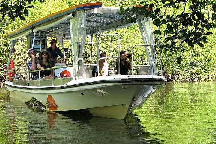 Daintree Rainforest Day Tour: Mossman Gorge, Daintree River Cruise & Cape Tribulation photo 6