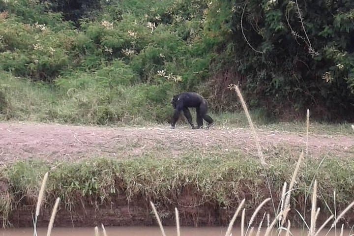 Ol Pejeta Overnight Safari and Mount Kenya Short Ascent