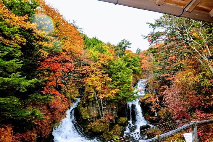 Nikko Day Trip from Tokyo with Local Photographer Guide photo 6