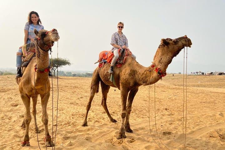 Pushkar Day Trip from Jaipur: Brahma Temple, Camel Safari & Savitri Hill Cable Car