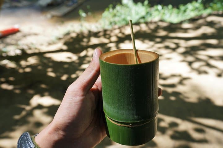 Half-Day Sok River Bamboo Rafting, Monkey Temple & Khao Sok Viewpoint from Khao Lak photo 6