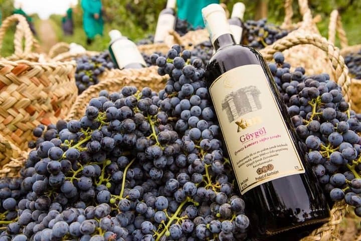 Shamakhi Wine Tour: Vineyard Walks, Cellar Tours & Wine Tastings in Meysari photo 3