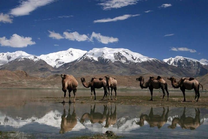 Pamir Highway: 5-Day Overland Route from Dushanbe to Osh