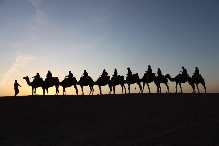 Sunset Camel Ride in Marrakech's Palmeraie — 30-Min Oasis Tour photo 5