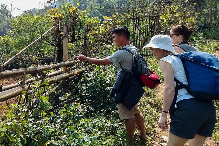 Sapa Terraced Rice Fields and Mountain Views Hike — 4D/3N Cultural Trek photo 2