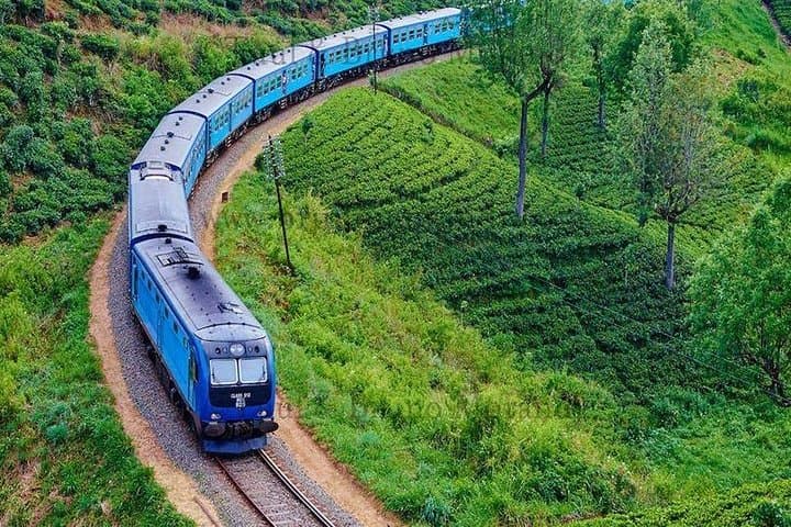 Chic Island 10-Day Sri Lanka Tour: Culture, Wildlife & Coastal Escape
