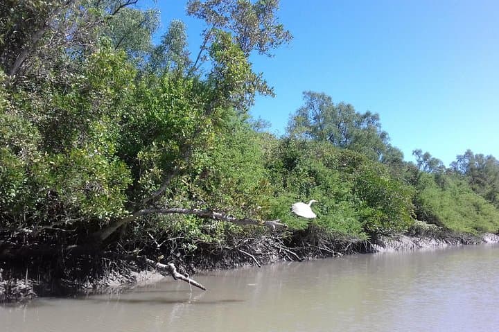 Sundarbans 4-Day Mangrove Expedition from Dhaka — Boat Cruises, Trails & Wildlife photo 2