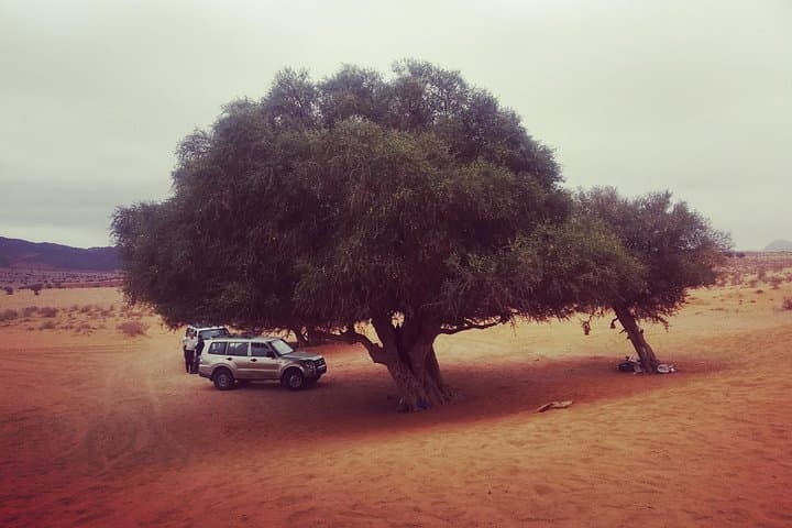 Agadir Mini Desert Safari: 4x4 Day Trip to Massa, Dunes & Tiznit
