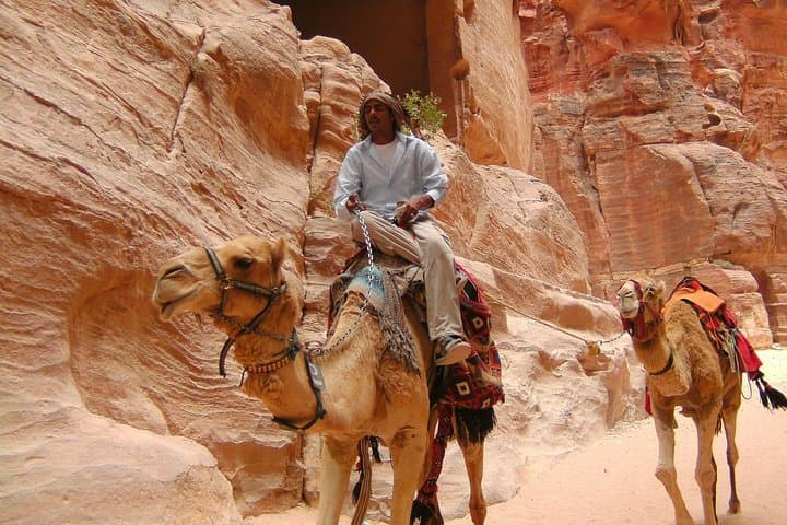 From Aqaba to Petra: Private Full-Day Sightseeing Tour with Lunch photo 2