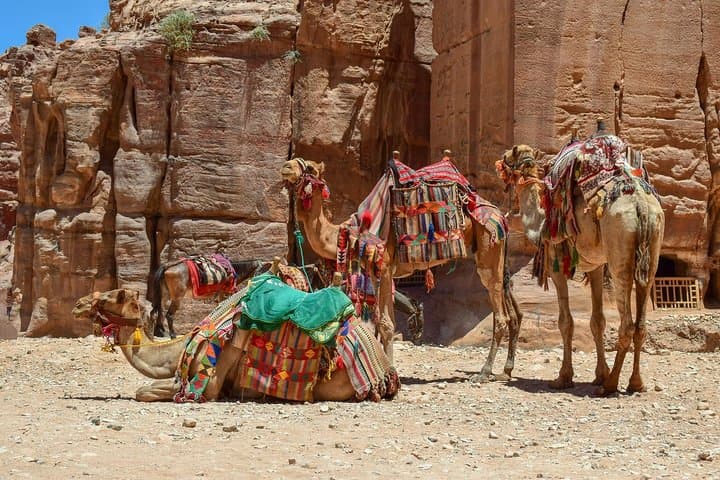 From Aqaba to Petra: Private Full-Day Sightseeing Tour with Lunch photo 3