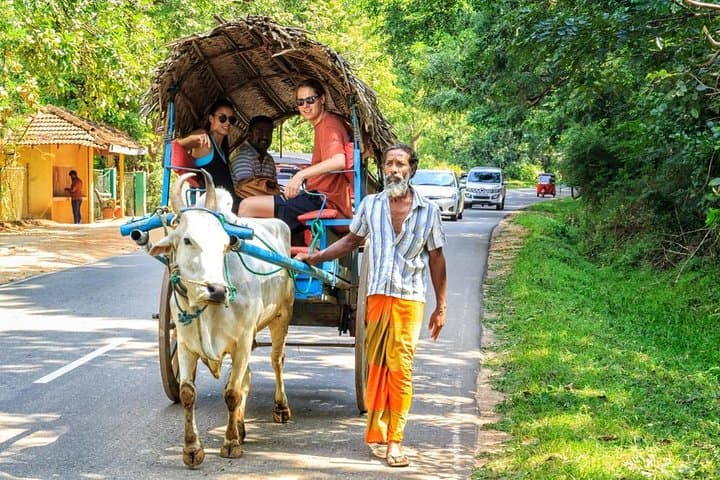Four-Day Sri Lanka Private Tour: Sigiriya, Kandy & Tea Country Itinerary photo 4
